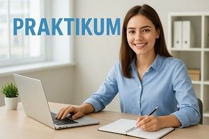 Bild Teaser Praktika