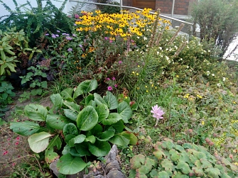 Bild Vorgarten&nbsp;&copy;&nbsp;Stadt Ennepetal