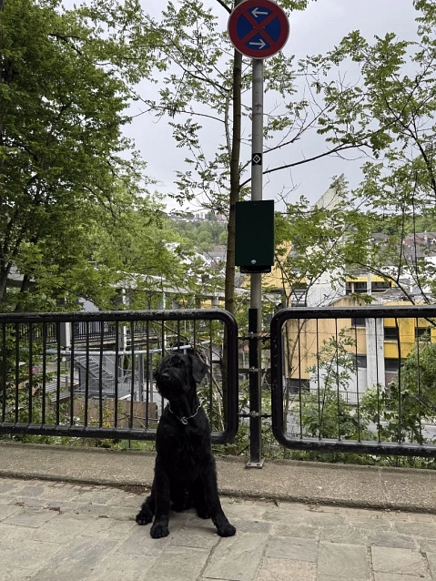Hundekotbeutelspender am Klutertberg installiert&nbsp;&copy;&nbsp;Stadt Ennepetal